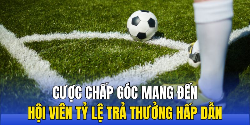 Cược chấp góc mang đến hội viên tỷ lệ trả thưởng hấp dẫn