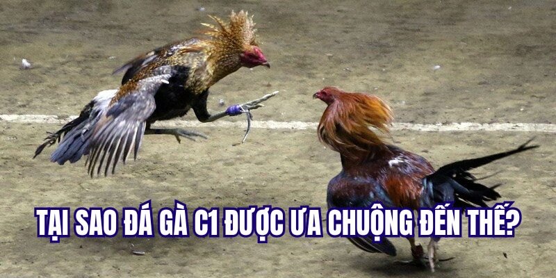 Các cuộc giao tranh sẽ được phát trực tiếp trên các nền tảng