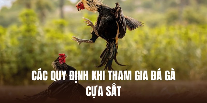 Các nguyên tắc đá gà giúp đảm bảo tính minh bạch, công bằng