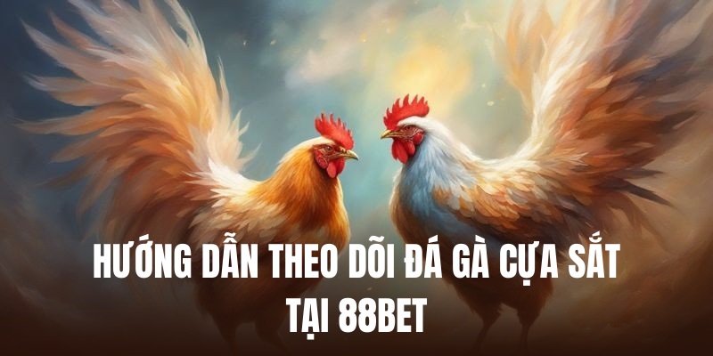 Theo dõi các trận cựa sắt trực tuyến cực gây cấn tại 88bet